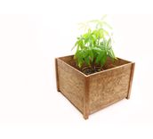Woodwarmth Plant Stand 1 small