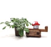 Iphone Stand Adjustable & Collapsible 1 small
