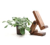 Iphone Stand Adjustable & Collapsible 3 small