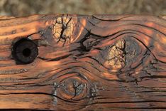 Plank Top Table 2 small