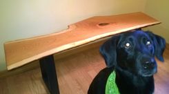 Live Edge Cherry Slab Bench / Coffee Table 1 small