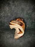 Free Standing Single Head Taxidermy Pedestal 1 small