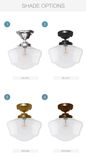 12" Schoolhouse Black Clear Glass Light- Flushmount 2 small
