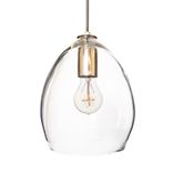 Hand Blown Clear Glass Pendant Light- Nickel 1 small