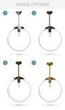 16" Clear Blown Glass Globe Downrod Pendant Light- Bronze 2 small