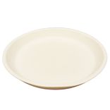 Usa Made Matte Porcelain Usa Made 10" Dinner Plate- White 2 small