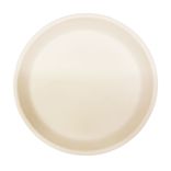 Usa Made Matte Porcelain Usa Made 10" Dinner Plate- White 1 small