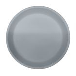 Usa Made Matte Porcelain Usa Made 10" Dinner Plate- Grey 1 small