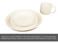 Usa Made Matte Porcelain Usa Made 10" Dinner Plate- White 5 small
