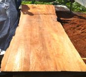 Old Growth Redwood Executive Desk 3 small