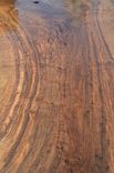 Live Edge Lumber Slabs 5 small