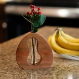 Propagation Vase - California Dreamin’ 4 small