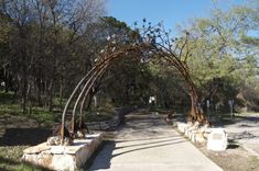 Arboreal Passage 1 small