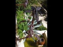 Sculpture- Flora: A Progression 4 small
