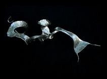 Sculpture- Organism: Specimen 4 1 small