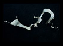 Sculpture- Organism: Specimen 4 2 small