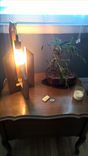 Wood Table Lamp With Edison Bulb 1 small