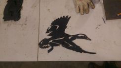 Ducks Galore 2 small