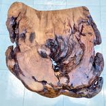 Large Burl-Top Studio Coffee Table 4 small
