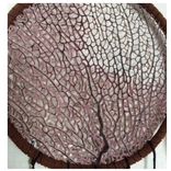 Sea Fan Ocean Dreamcatcher 2 small