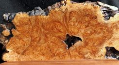 Maple Burl Shelves 2 small