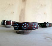 Dog Collar, Southwest Funk, Leather 2 small