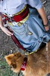 Steampunk, Belts, Dog Collar, Fashion 12 small