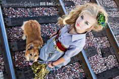 Steampunk, Belts, Dog Collar, Fashion 14 small