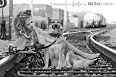 Steampunk, Belts, Dog Collar, Fashion 19 small