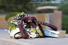 Accessories, Belts, Dog Collars, Leashes, Purses 1 small