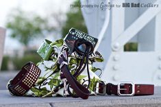 Accessories, Belts, Dog Collars, Leashes, Purses 4 small
