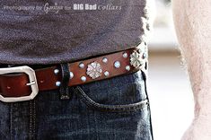 Accessories, Belts, Dog Collars, Leashes, Purses 2 small