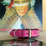 Color!  Dog Collars, Belts. 3 small