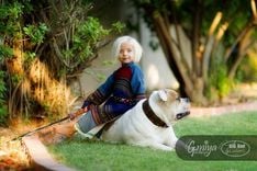 Lord Of The Rings Styled Dog Collars 7 small