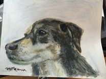 Pastel Pet Portrait From Photo - Custom 5 small