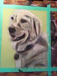 Pastel Pet Portrait From Photo - Custom 4 small