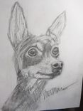Pencil Portrait Of Pet From Photo - Custom 3 small