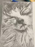 Pencil Portrait Of Pet From Photo - Custom 5 small