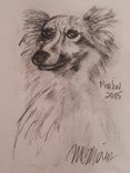Pencil Portrait Of Pet From Photo - Custom 6 small