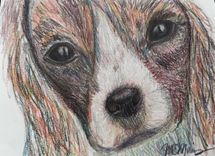 Dog Breed Fine Art Prints From Original Pastel Painting 2 small
