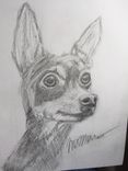 Dog Breed Fine Art Prints From Original Pastel Painting 3 small