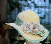 Custom Hat Order For Norma 2 small