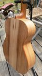 Custom Acoustic Guitar With American Woods 1 small