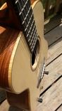 Custom Deep Body 00 Martin-Style Guitar / Full Scale / Adi Top 3 small