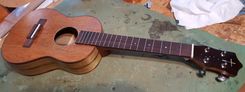 Custom Tenor Ukulele 6 small