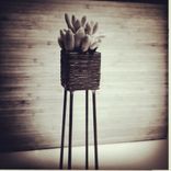 Steel W/ Patina Pots 1 small