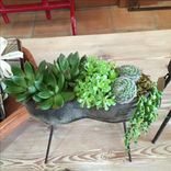Steel W/ Patina Pots 3 small
