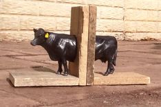 Reclaimed Wood Farm Animal Bookends - Free Shipping! 5 small