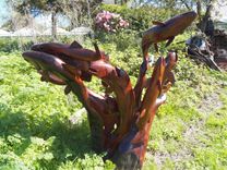 Jumping Salmon 1 small