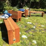 Succulent Bench 2 small